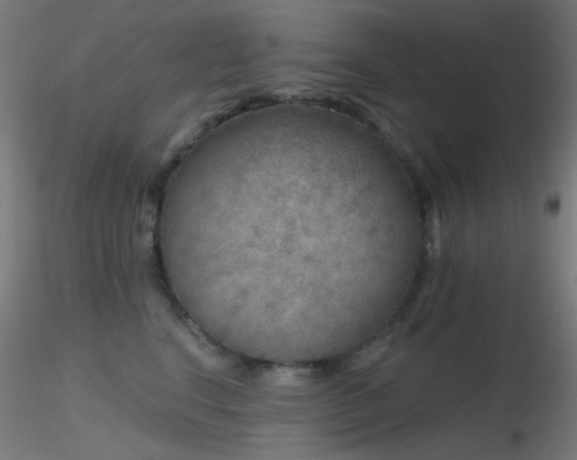 X0000116790664200912181255