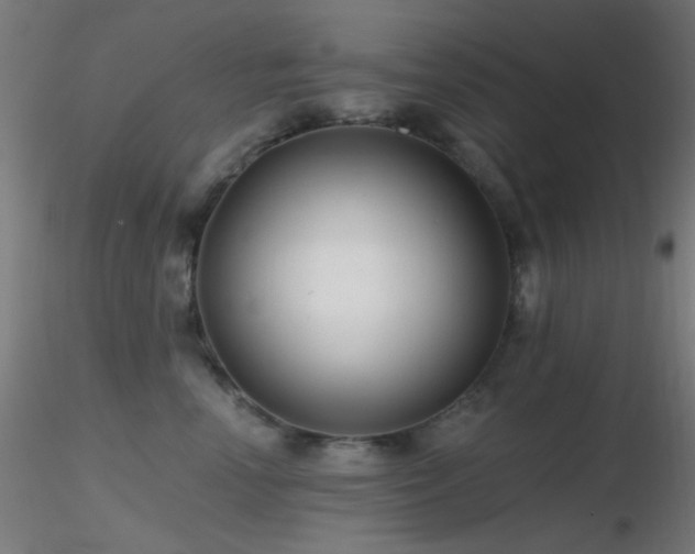 X0000116790666200912181255