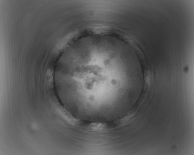 X0000116790667200912181255