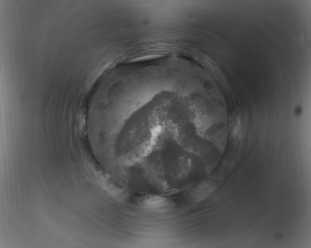 X0000116790669200912181255