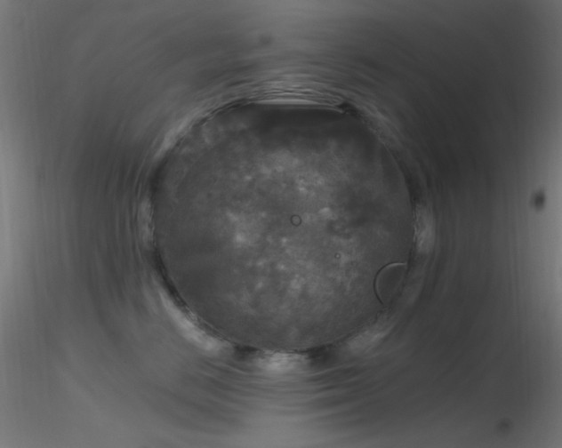 X0000116790670200912181255