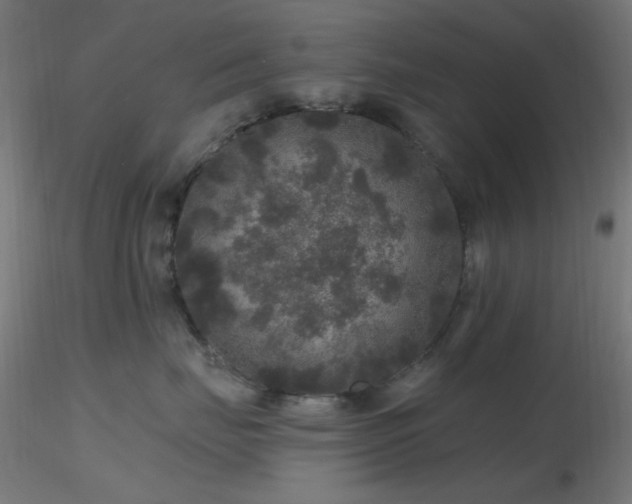 X0000116790671200912181255