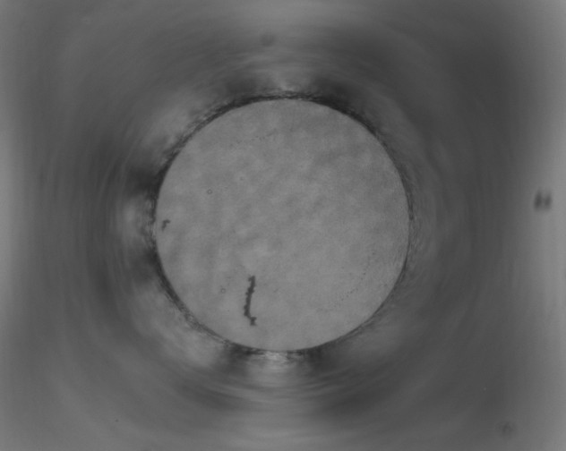 X0000116790672200912181255