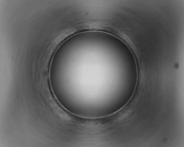 X0000116790673200912181255