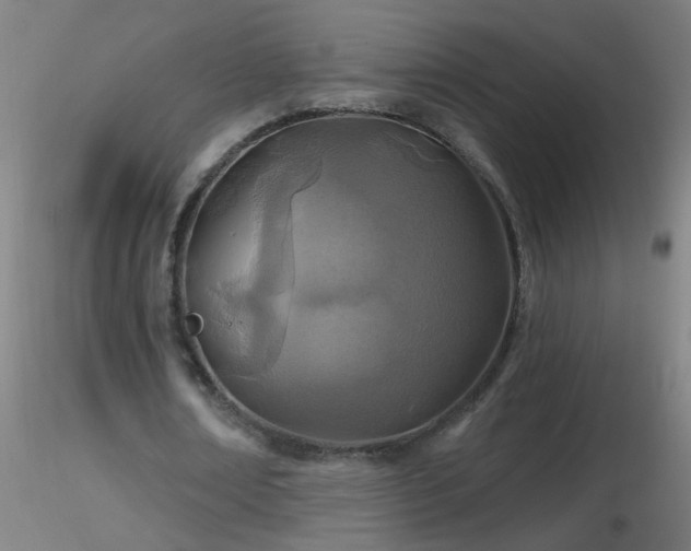 X0000116790674200912181255