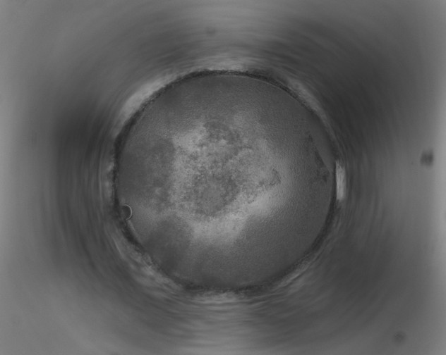 X0000116790675200912181255