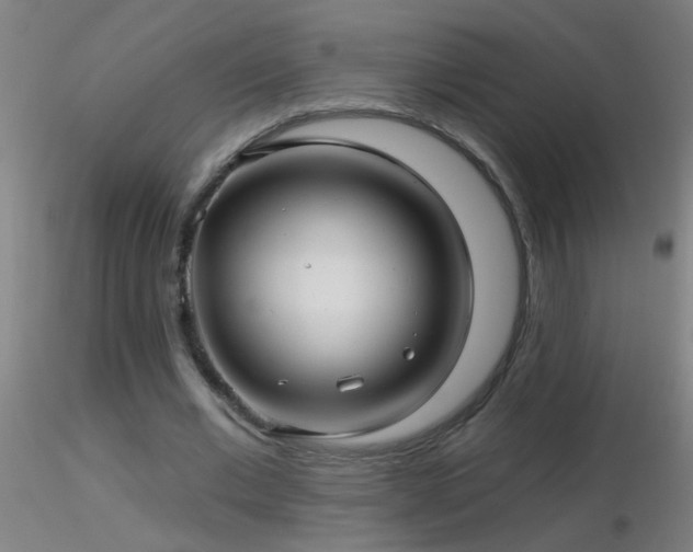 X0000116790677200912181255