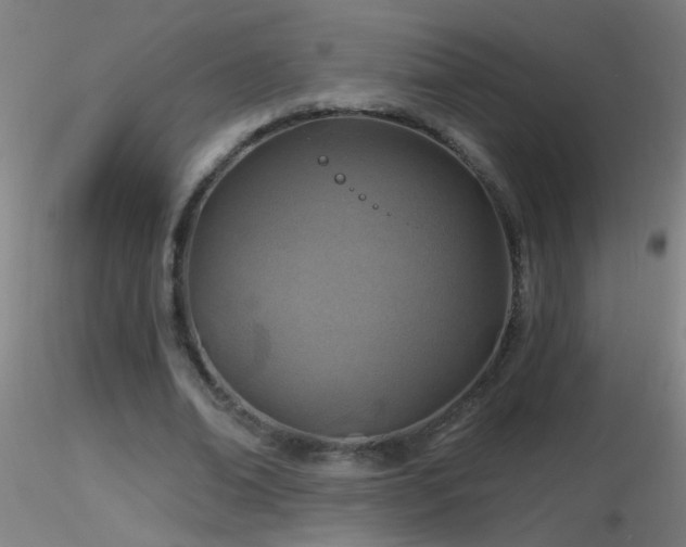 X0000116790678200912181255