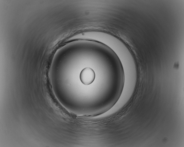 X0000116790681200912181254