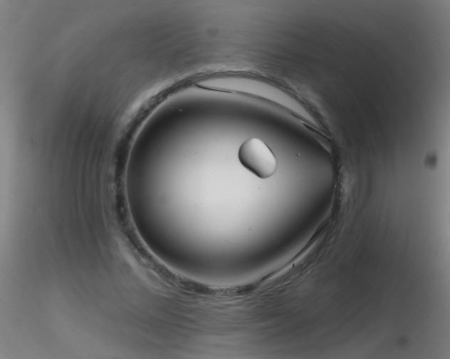 X0000116790684200912181254