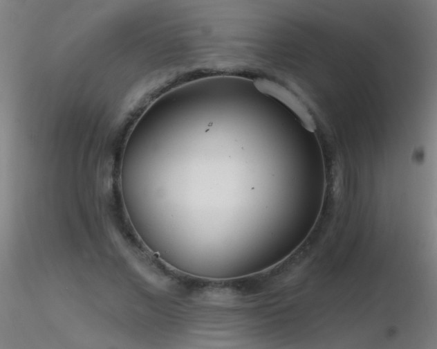 X0000116790685200912181254