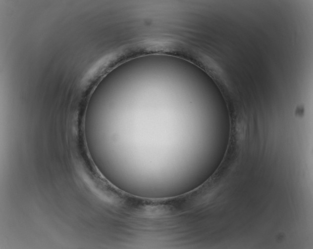 X0000116790686200912181254