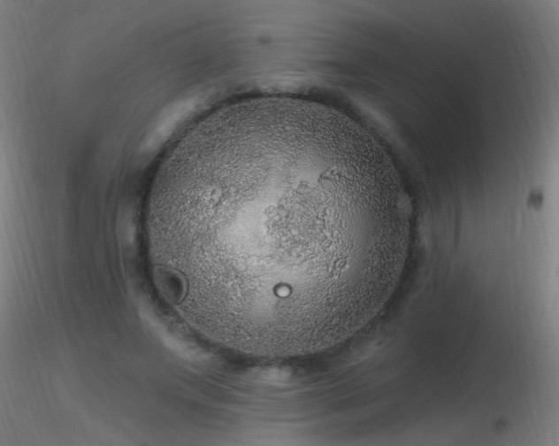 X0000116790687200912181254