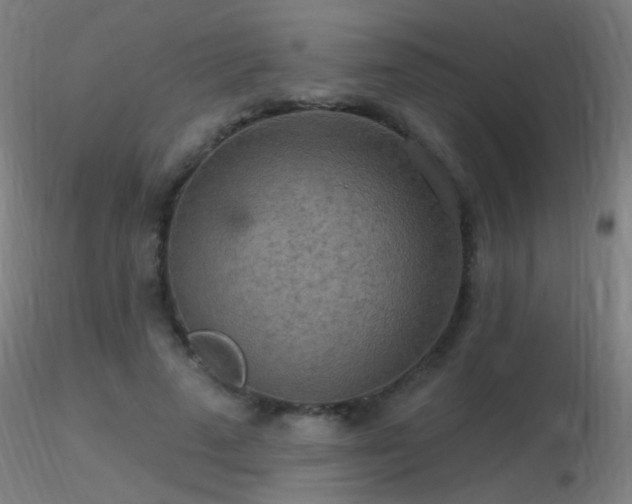X0000116790689200912181254