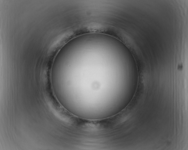 X0000116790690200912181254