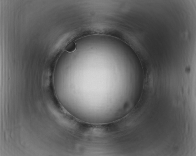 X0000116790694200912181254