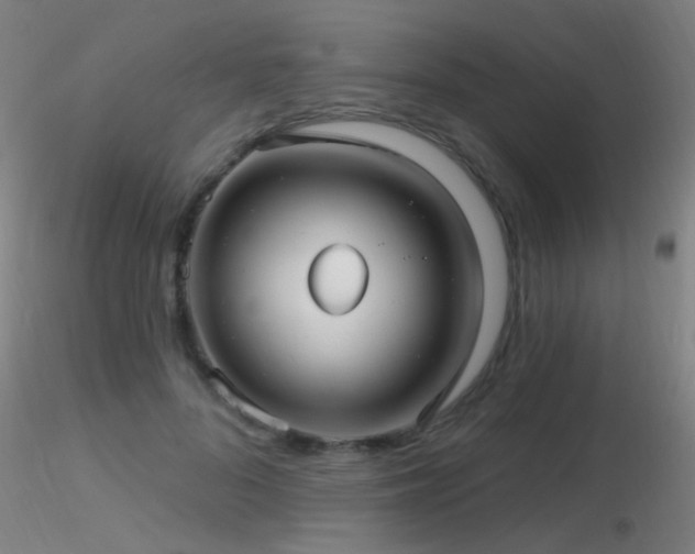 X0000116790696200912181254