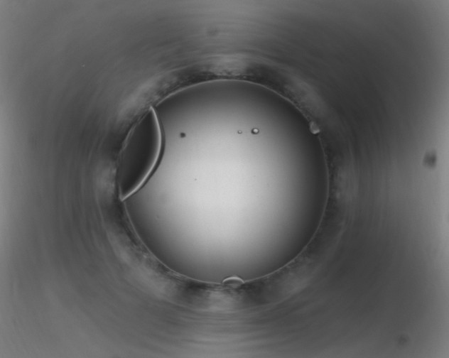 X0000116790697200912181254