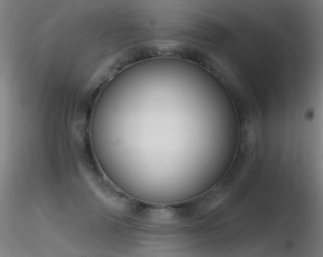 X0000116790698200912181254