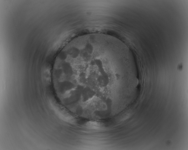 X0000116790699200912181254