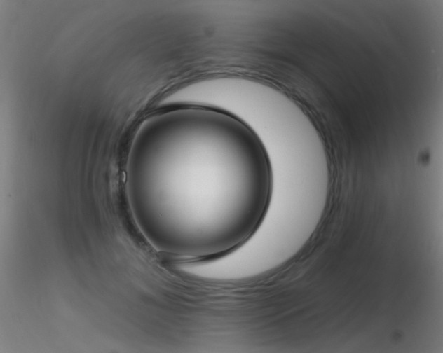 X0000116790700200912181254