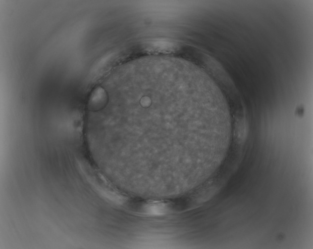 X0000116790701200912181254
