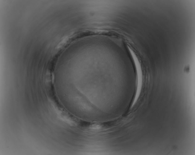 X0000116790704200912181254