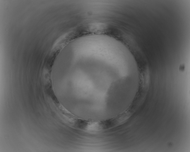 X0000116790705200912181254