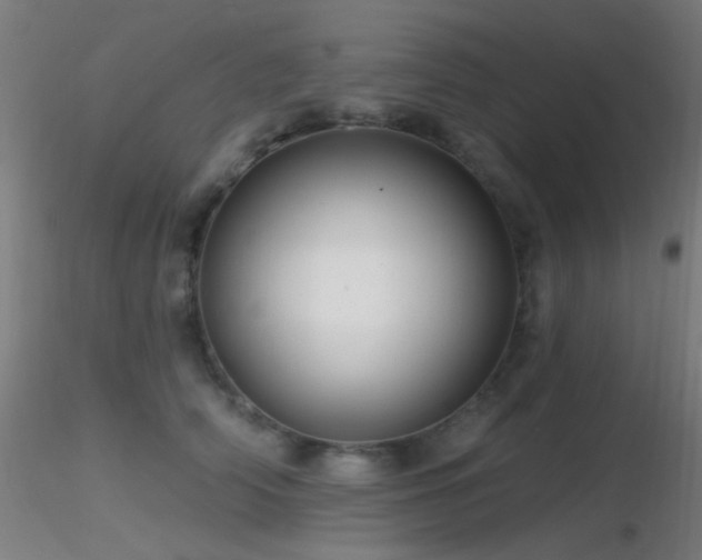 X0000116790706200912181254