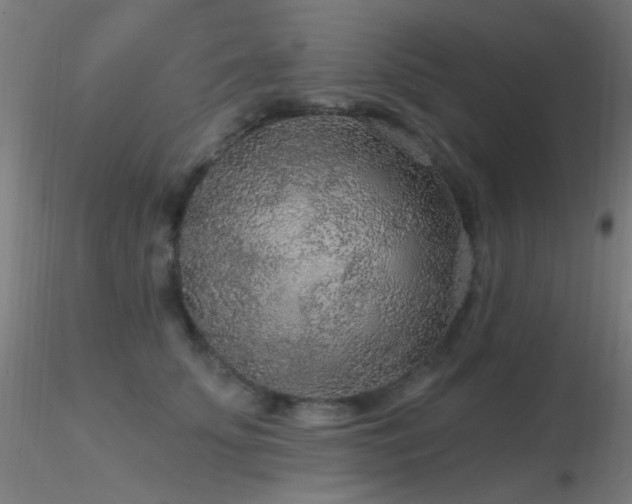X0000116790707200912181254