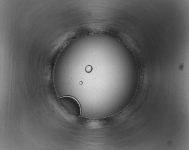 X0000116790710200912181254