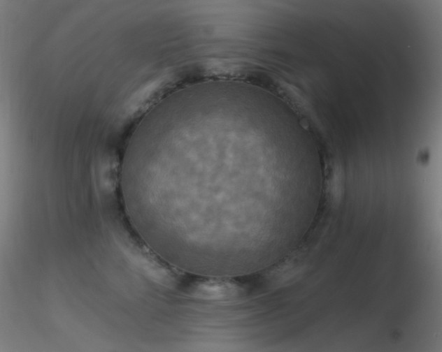 X0000116790712200912181254