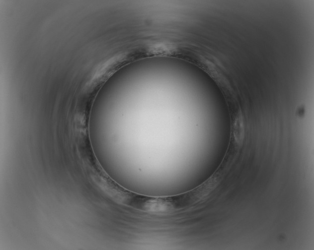 X0000116790714200912181254