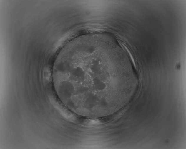 X0000116790715200912181254