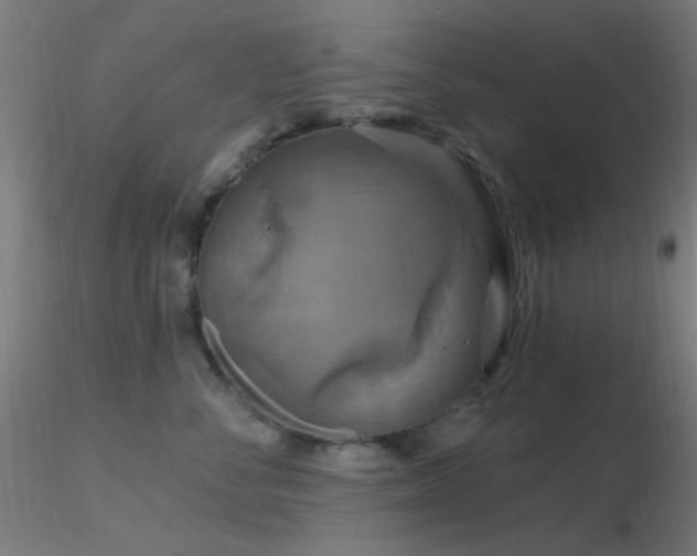 X0000116790716200912181254