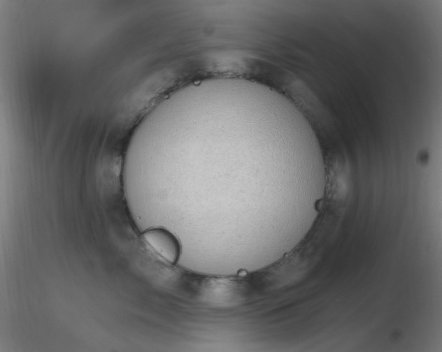 X0000116790717200912181254