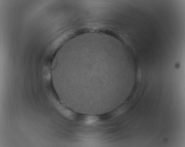 X0000116790719200912181254