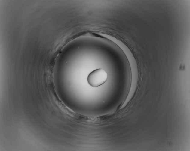 X0000116790720200912181254