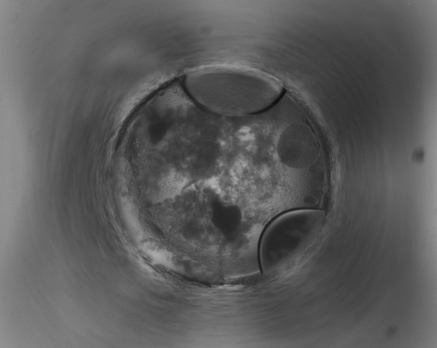 X0000116790721200912181253