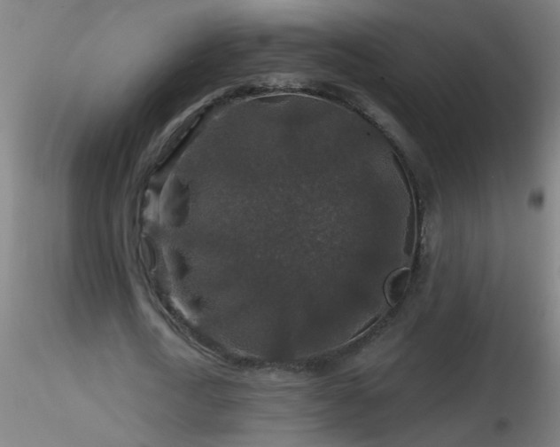 X0000116790722200912181253