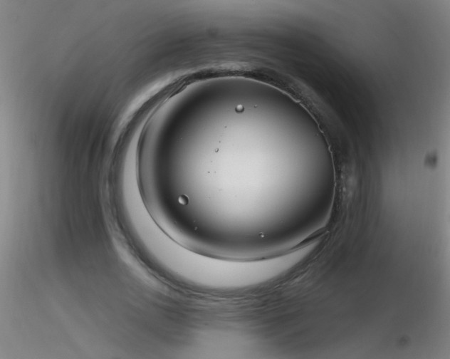 X0000116790726200912181253