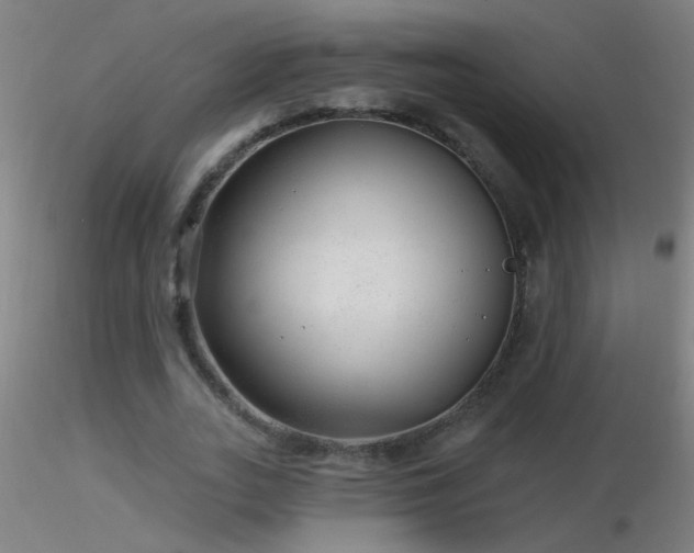 X0000116790727200912181253