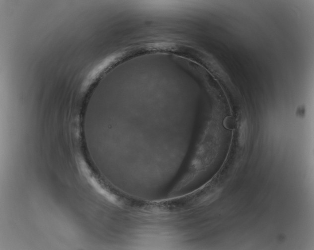 X0000116790729200912181253