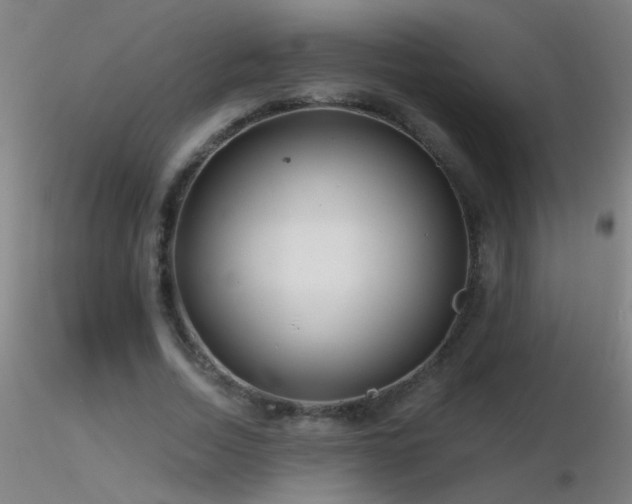 X0000116790730200912181253