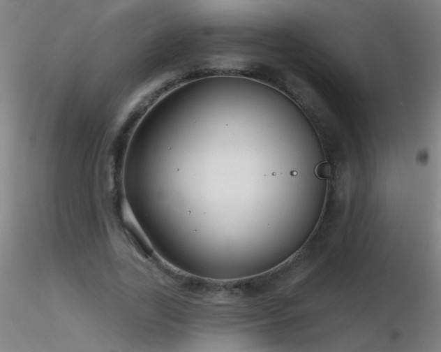 X0000116790731200912181253