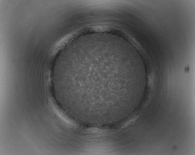 X0000116790733200912181253