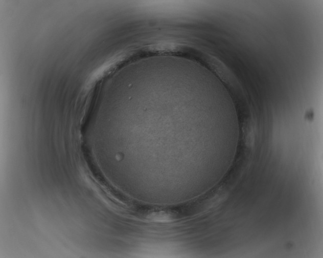X0000116790735200912181253