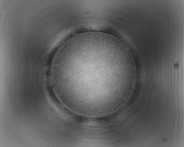 X0000116790738200912181253