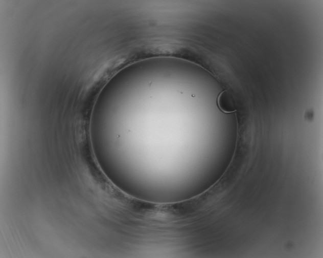 X0000116790743200912181253
