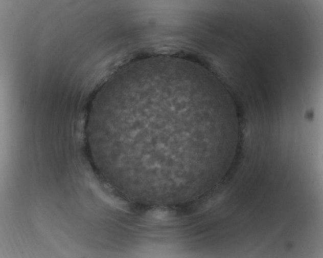 X0000116790745200912181253